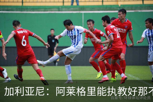 加利亚尼：阿莱格里能执教好那不勒斯，他会根据队内球员制定战术